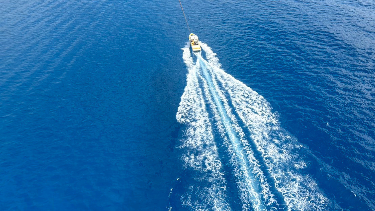 blog_HAWAII_20260722_img00 (cruise2).png
