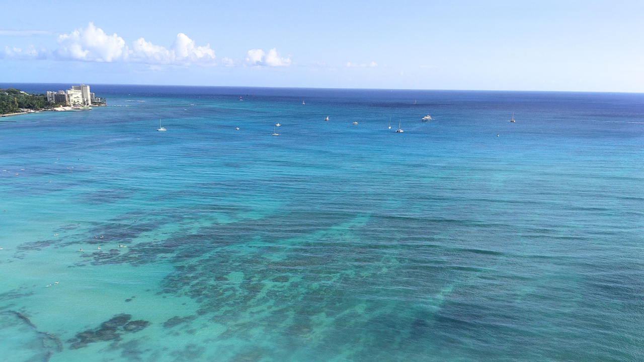 blog_HAWAII_20260722_img00 (umi).png