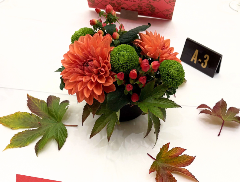 blog_hana_241102_img003.jpeg